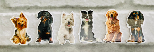 Dog resin brooch - Westie Yorkie Daschund Retriever Spaniel