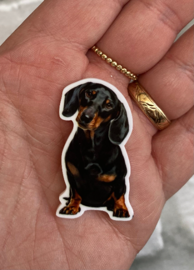 Dog resin brooch - Westie Yorkie Daschund Retriever Spaniel