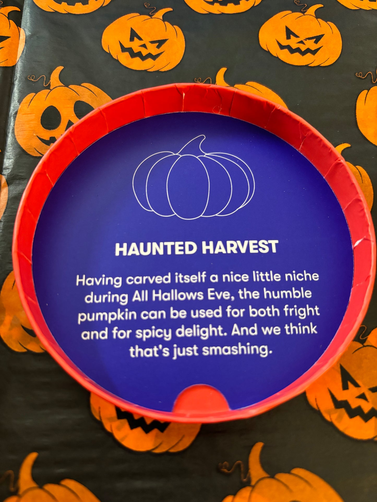 VAULT!  Haunted Harvest brooch