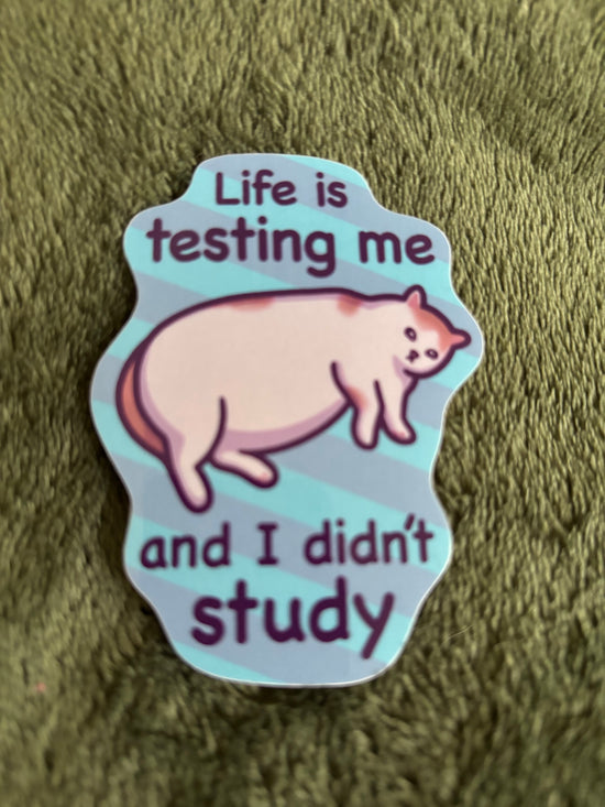 Life Is Testing Me | Funny Cat Meme Vinyl Sticker