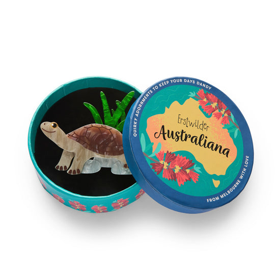 Rheo the River Turtle