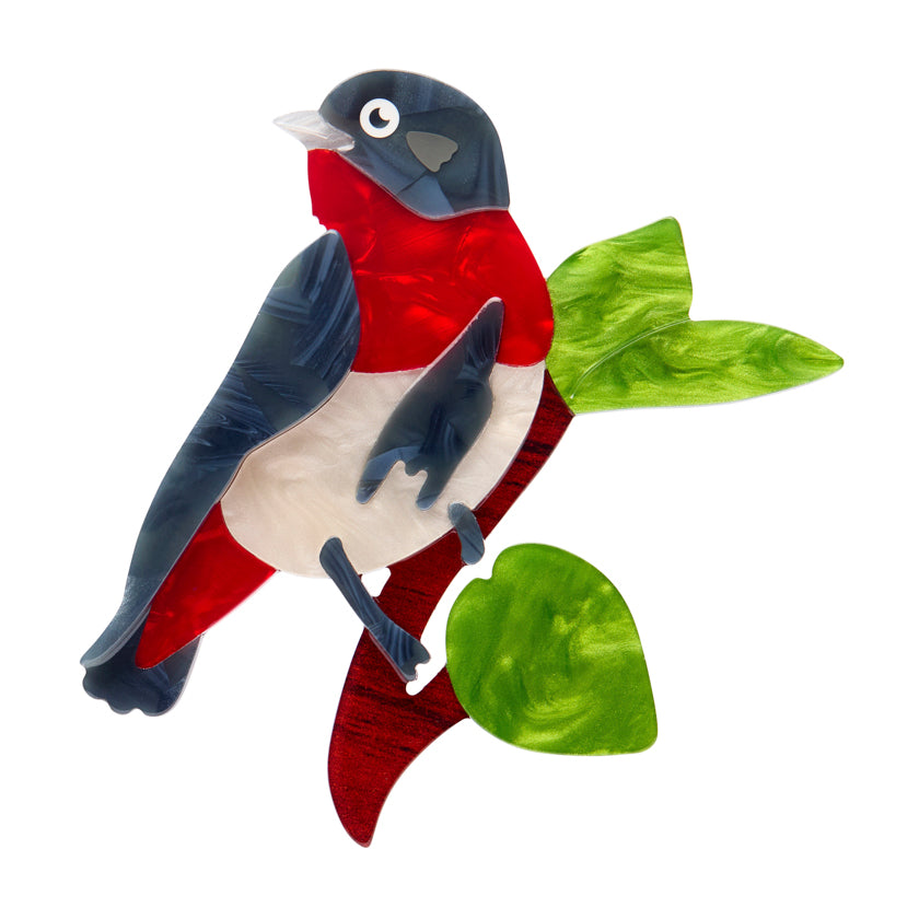 Mabel the Mistletoe Bird