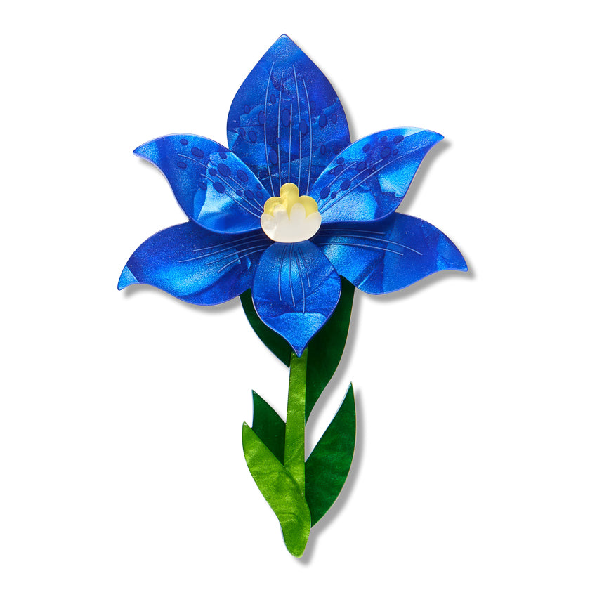 Spotted Sun Orchid Brooch