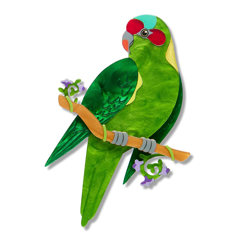 Musk Lorikeet Brooch