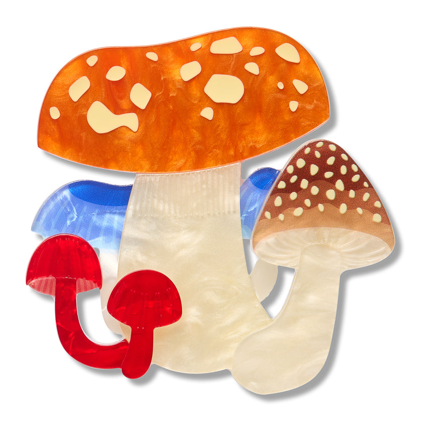 Native Mushroom Medley Brooch (please note sticker on bottom of box incorrect)