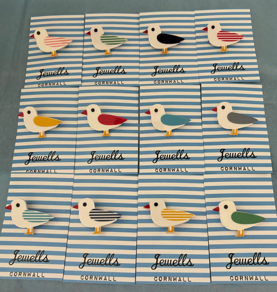 Seagull Resin Brooch - 12 colour options