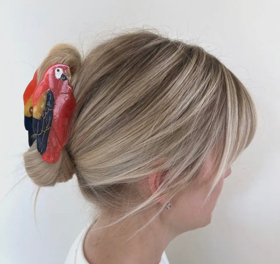 Parrot hair claw
