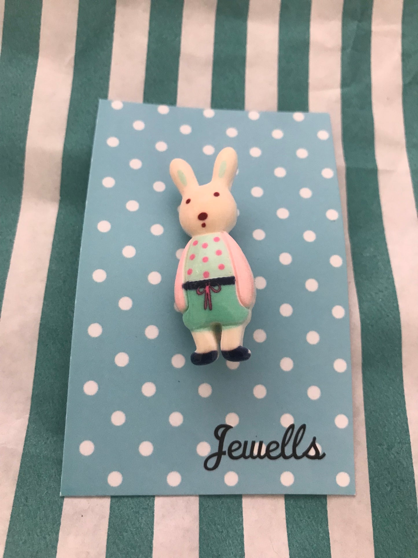 Resin Rabbit Bunny easter brooch - choice five colourways