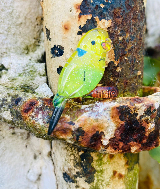 Budgie resin brooch ON ORDER - RESERVE NOW!